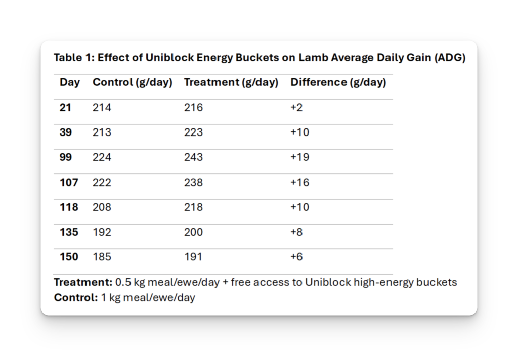 Table showing the effect of sheep feed block supplementation on lamb average daily gain, comparing Uniblock energy bucket treatment against control feeding across a 150-day trial